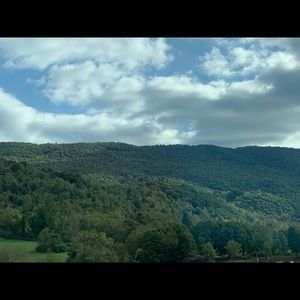 Meet your Posher, Janet